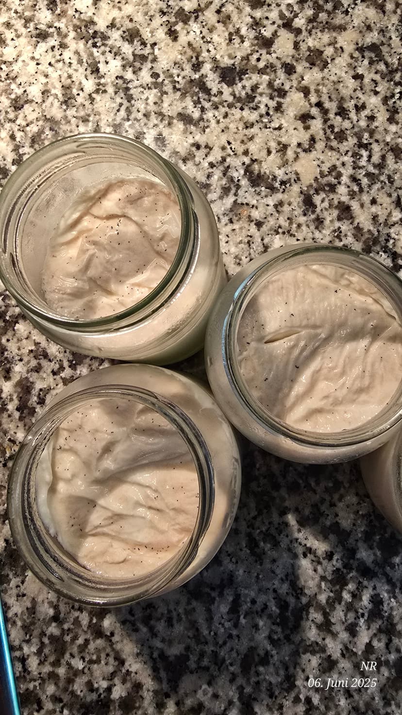 Homemade Vanilla Yogurt Rocely Recipe