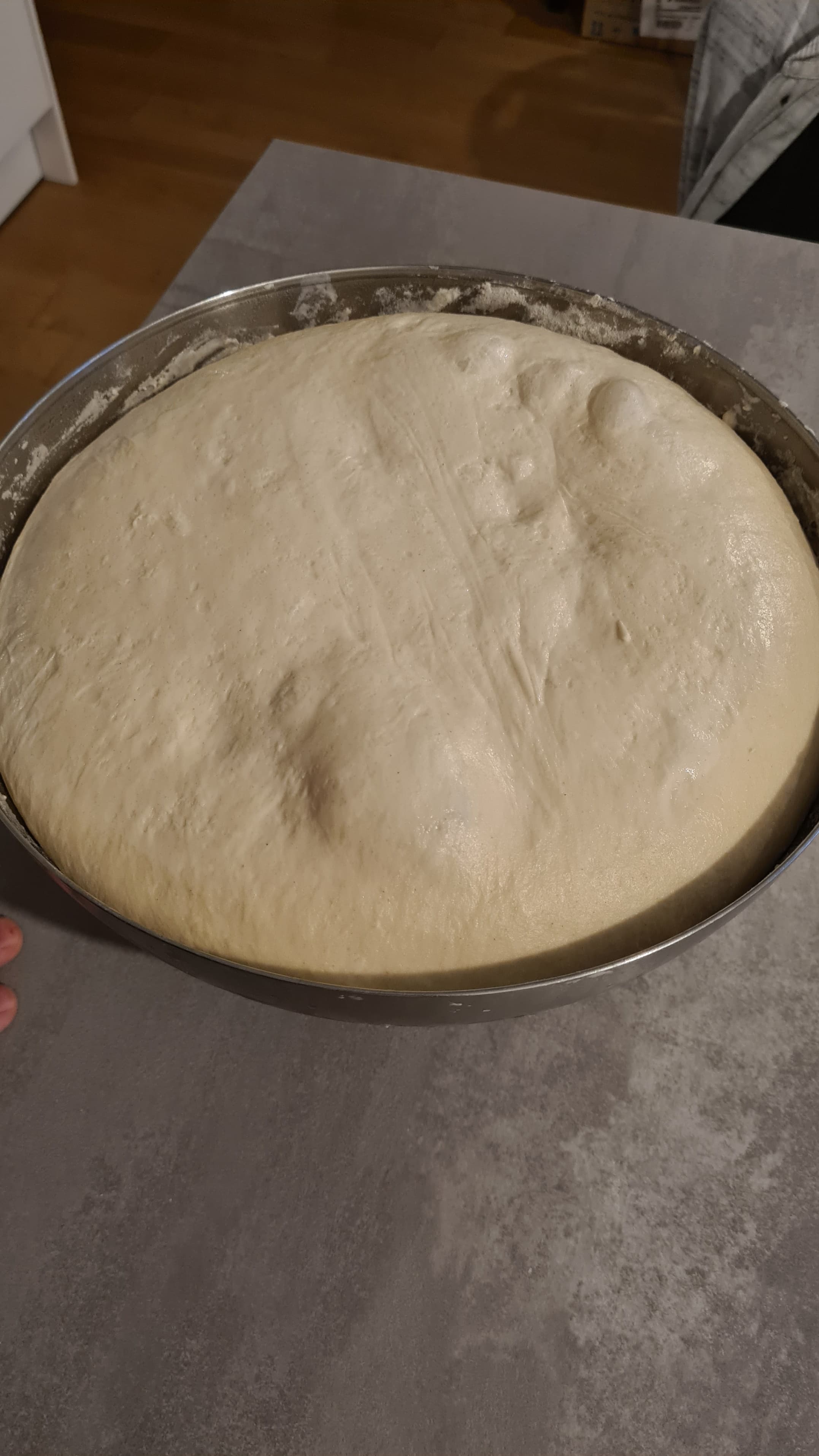 Ciasto na pizzę – Metoda Poolish, wersja mleczna 70% hydracji (72h fermentacji) Recipe Image