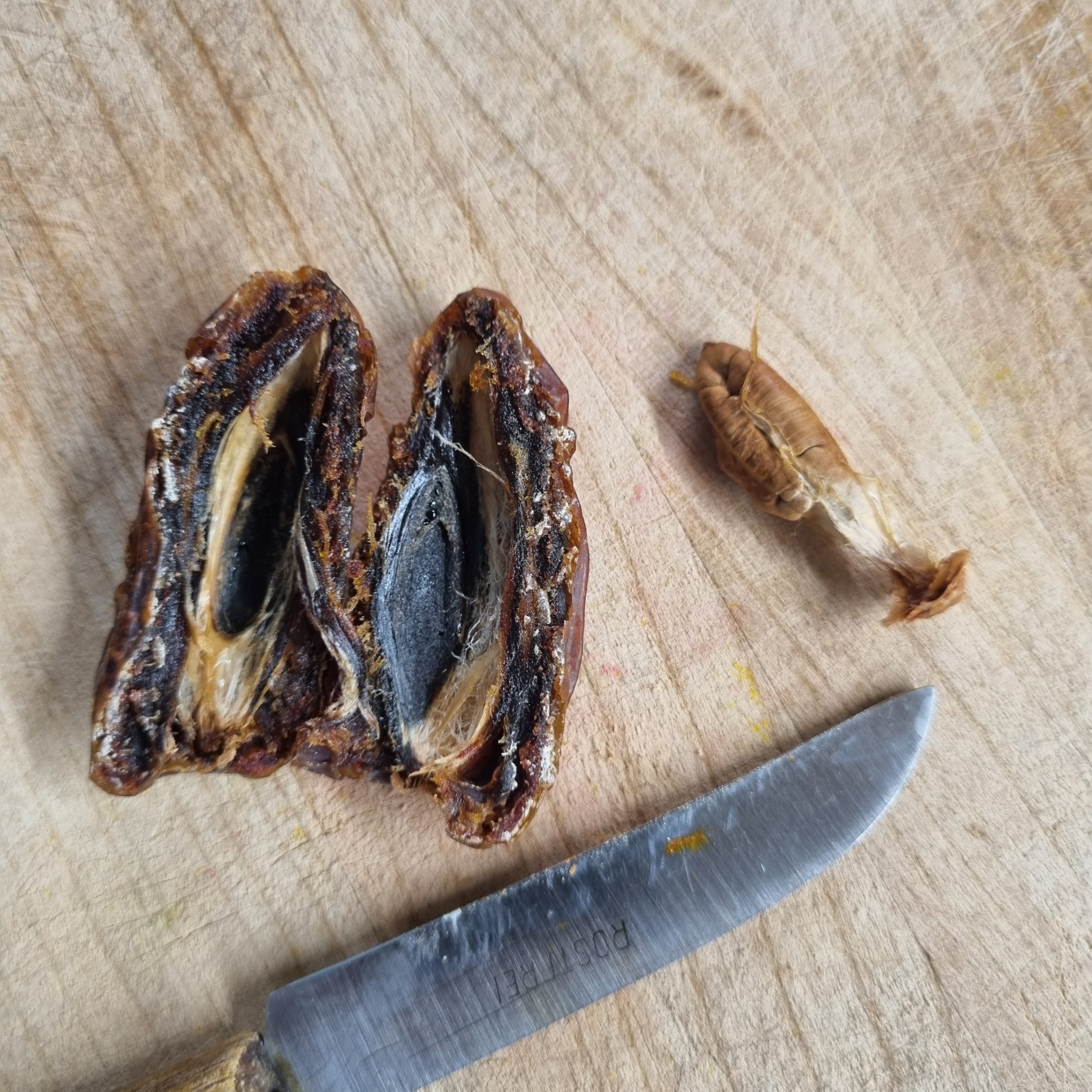 Quick Cocoa Hemp Shake Recipe Image