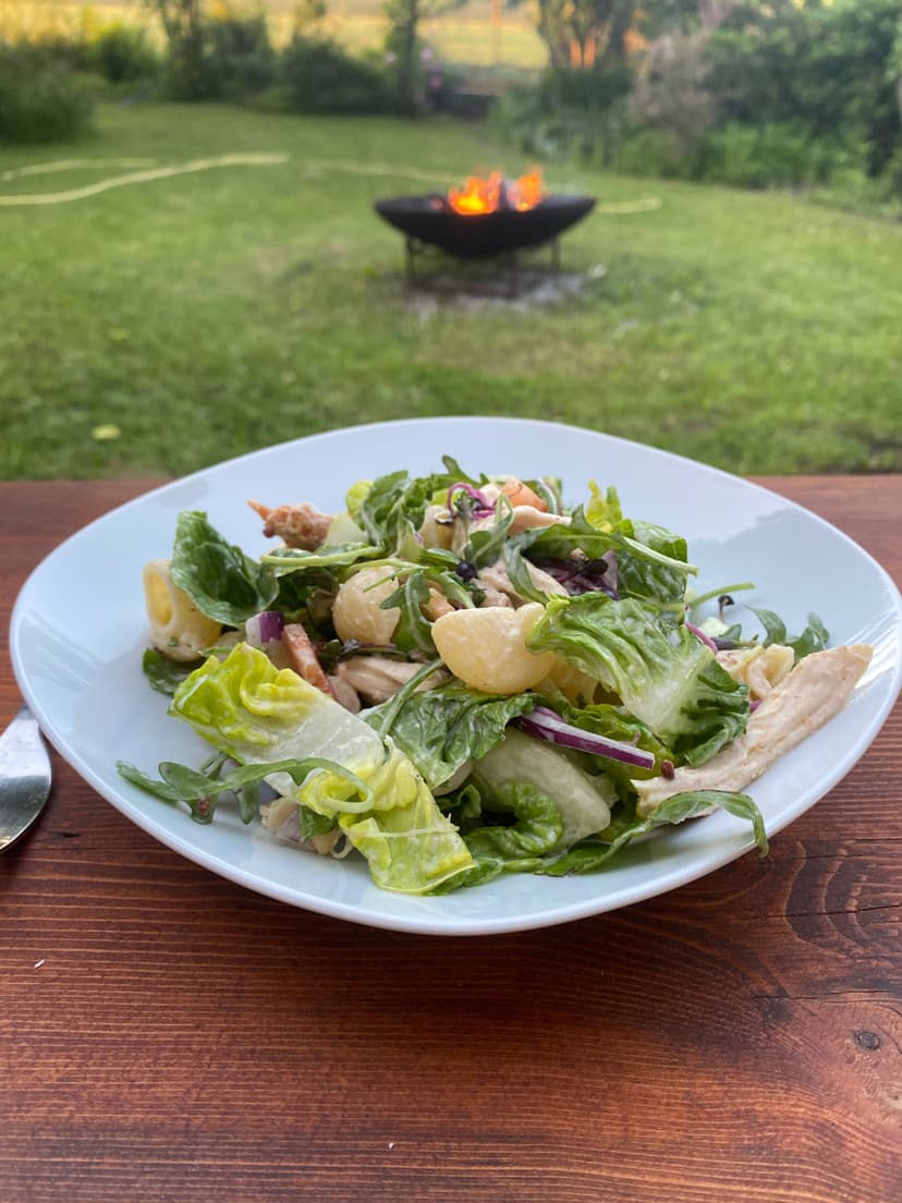 Grilled Chicken Pasta Salad Rocely Recipe