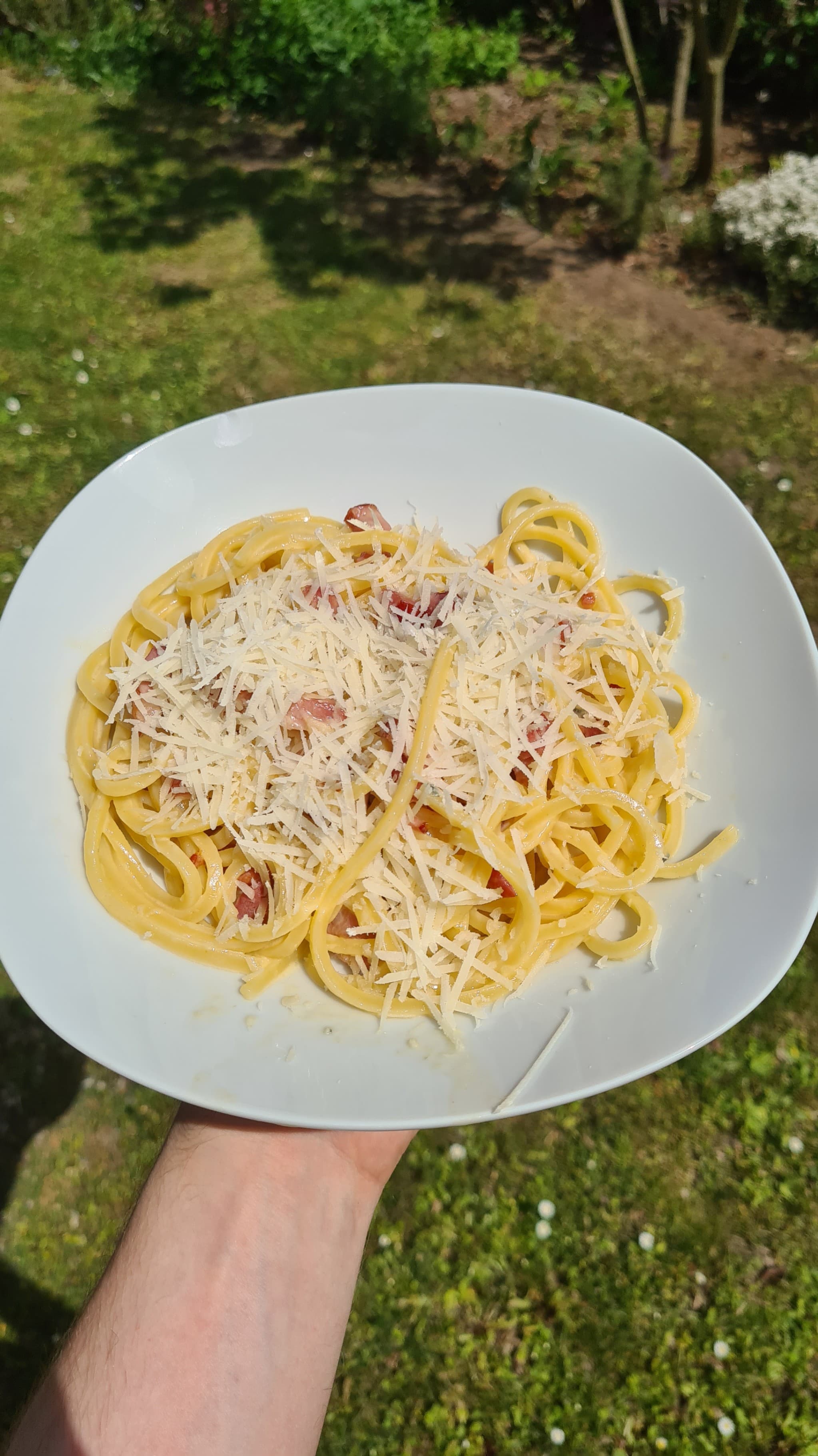 Gorgonzola Carbonara Recipe Image